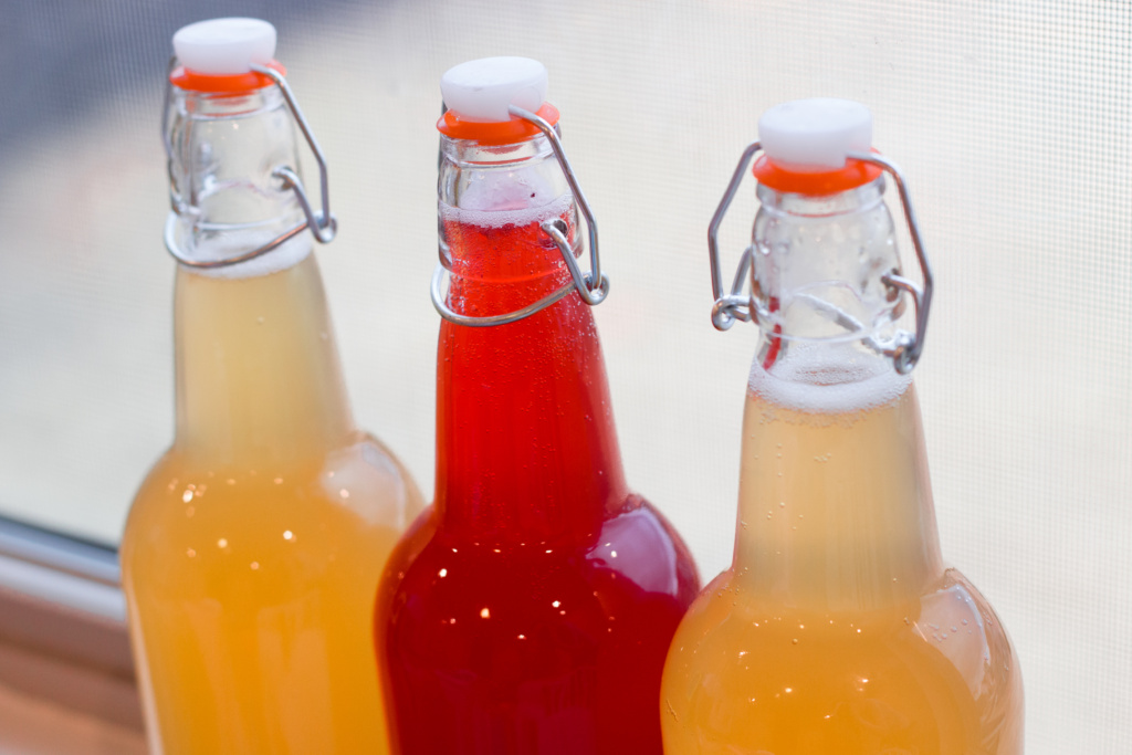 Kombucha Health Benefits Home Brew