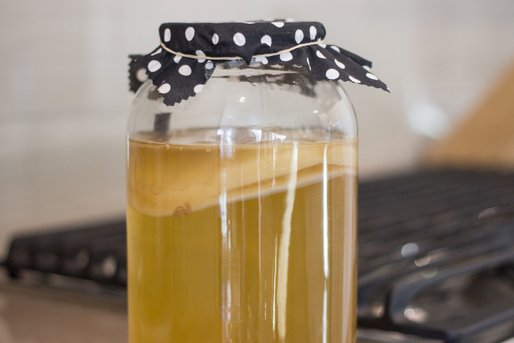 Kombucha Health Benefits: Scoby